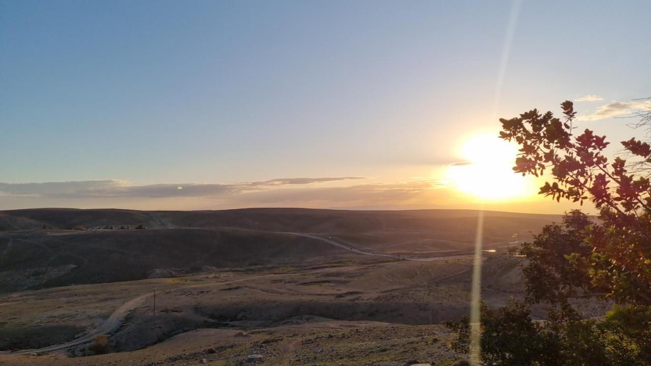 הוילה ערד Desert Call מראה חיצוני תמונה